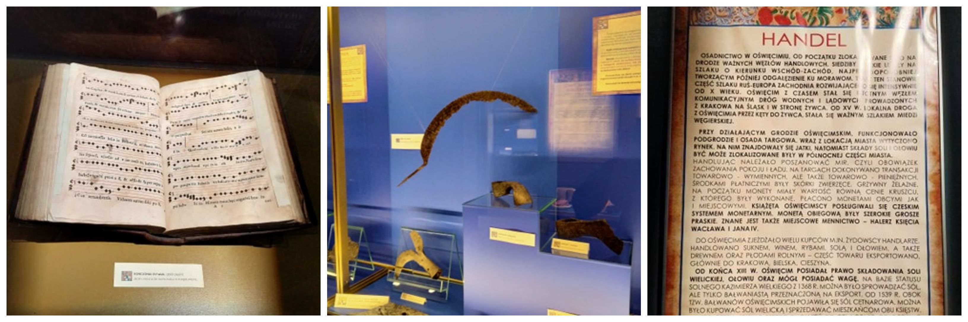 elementy wystawy archeologicznej